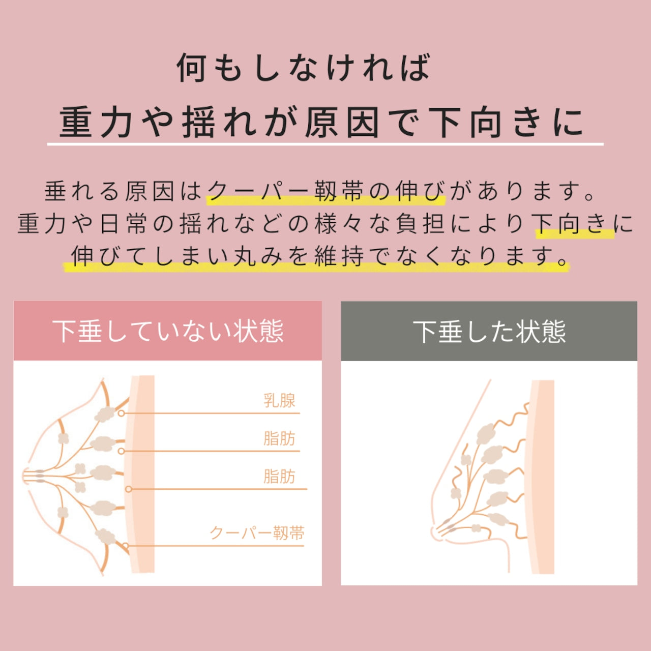 24時間育乳ナイトブラ Jewelring(ジュエルリング)