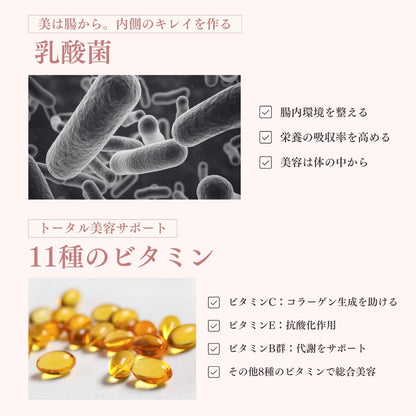 Beauty Powder Jewelring(ジュエルリング)100g