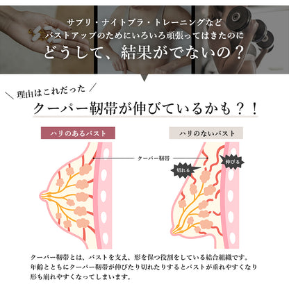 バストアップソイプロテイン 2袋セット Jewelring(ジュエルリング)